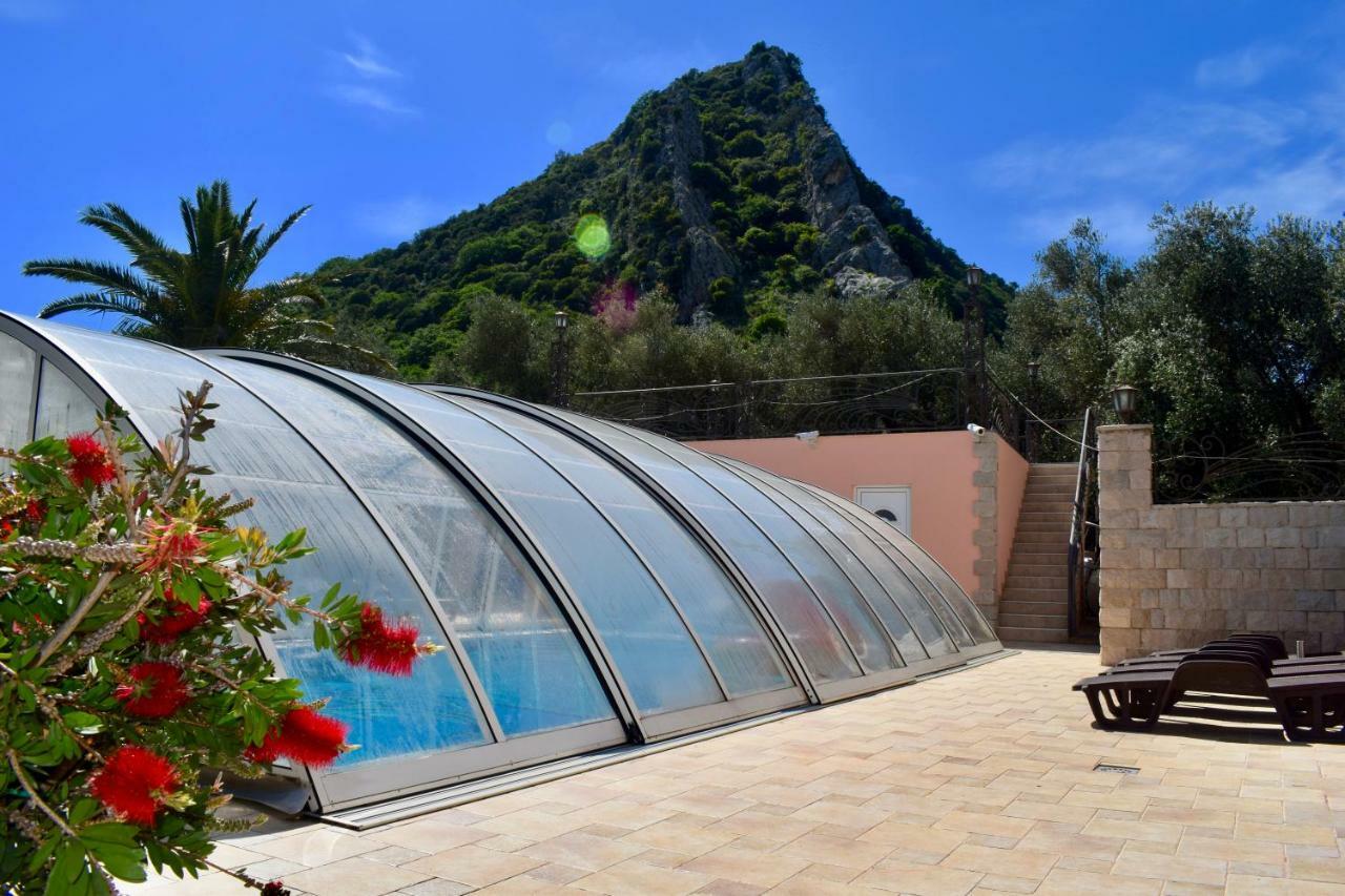 Villa Dolphin Apartments Petrovac Exteriör bild