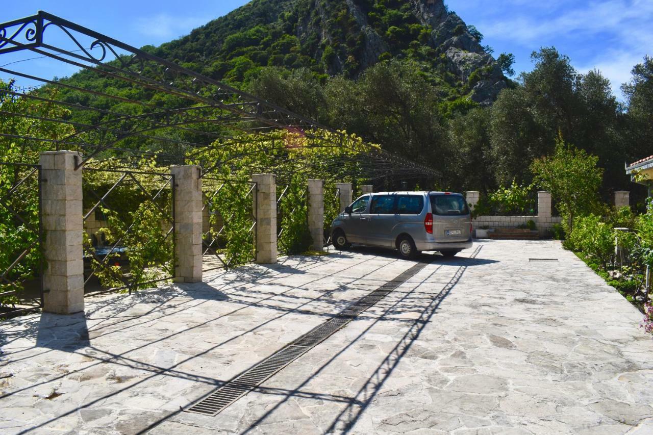 Villa Dolphin Apartments Petrovac Exteriör bild