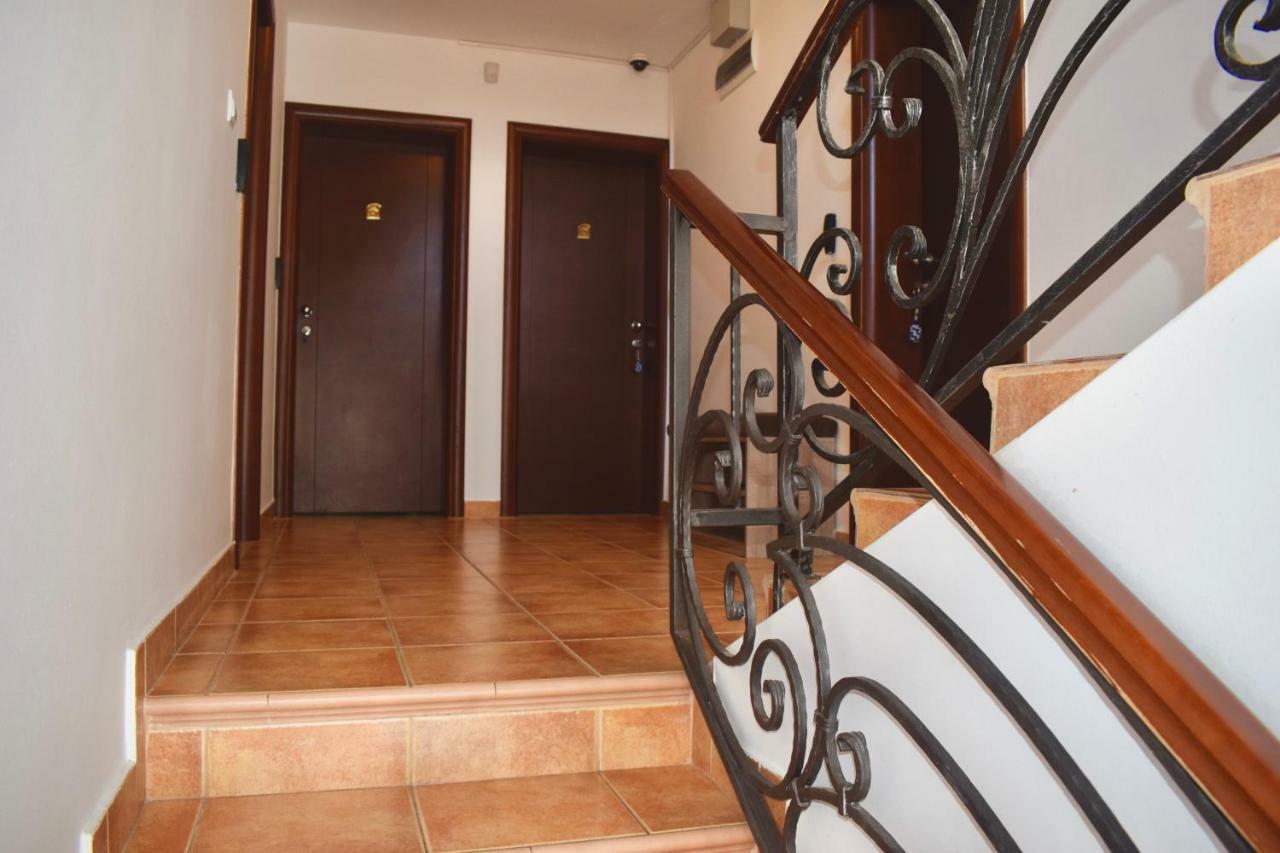 Villa Dolphin Apartments Petrovac Exteriör bild